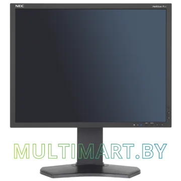Монитор NEC MultiSync P212 black